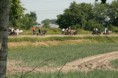 /album/menrit-04-06-2011/a06-04-2011-95-jpg/